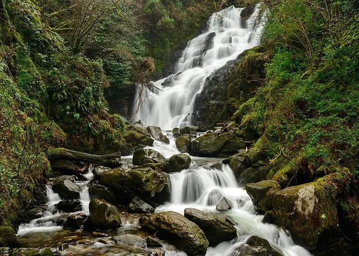 Апартаменты Haven - Self Catering *